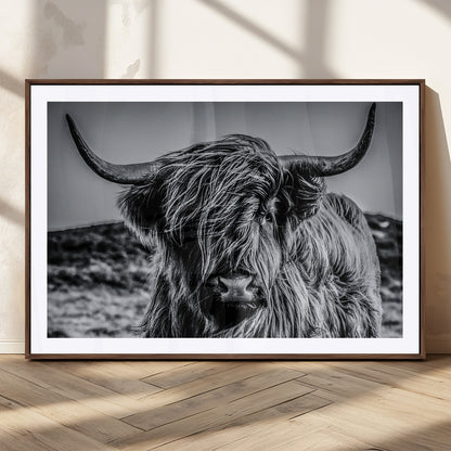 97372-MGC-FP-36x24_Walnut-Elegant Highland Cow Wall Art – Black and White Canvas Print, Rustic Nature Decor for Home, Office, Living Room or Man Cave