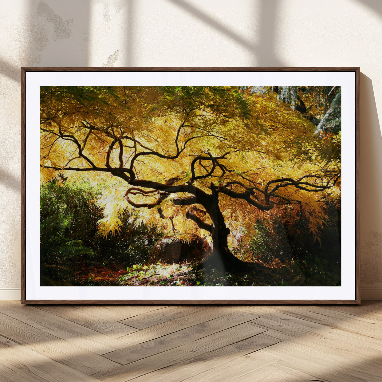 19067-MGC-FP-36x24_Walnut-Golden Canopy Wall Art – Panoramic Autumn Tree Canvas Print, Warm Seasonal Decor for Living Room, Office or Garden Space