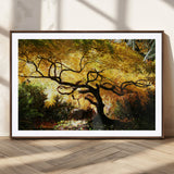 19067-MGC-FP-36x24_Walnut-Golden Canopy Wall Art – Panoramic Autumn Tree Canvas Print, Warm Seasonal Decor for Living Room, Office or Garden Space