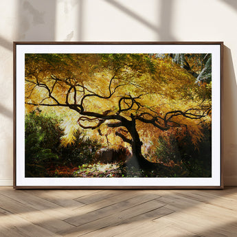 19067-MGC-FP-36x24_Walnut-Golden Canopy Wall Art – Panoramic Autumn Tree Canvas Print, Warm Seasonal Decor for Living Room, Office or Garden Space