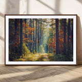 86249-MGC-FP-36x24_Walnut-Sunlit Autumn Forest Path Wall Art – Peaceful Nature Scene with Fall Foliage, Calming Woods Decor for Home or Office