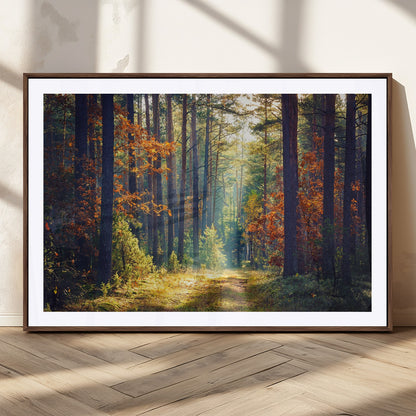 86249-MGC-FP-36x24_Walnut-Sunlit Autumn Forest Path Wall Art – Peaceful Nature Scene with Fall Foliage, Calming Woods Decor for Home or Office