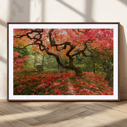 73343-MGC-FP-36x24_Walnut-Autumn Maple Wall Art – Panoramic Vibrant Red Maple Tree Canvas Print, Seasonal Nature Decor for Office, Living Room or Garden