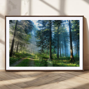 24634-MGV-CV-36X24-Mystic Forest Path Wall Art – Panoramic Morning Light Forest Canvas Print, Tranquil Nature Decor for Office, Living Room or