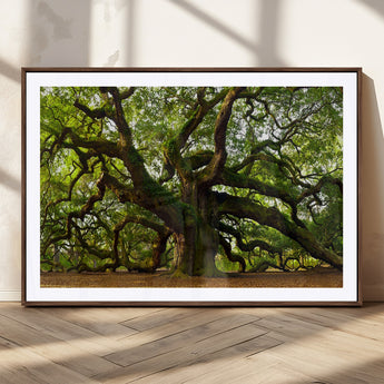 29407-MGC-FP-36x24_Walnut-Ancient Oak Tree Wall Art – Majestic Nature Canvas Print, Large Tree Photography Decor for Living Room or Office