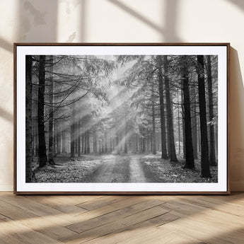 39665-MGC-FP-36x24_Walnut-Black and White Forest Path Wall Art – Sunlight Rays in Trees Canvas Print, Nature Landscape Decor for Living Room or Office