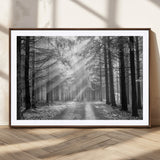 39665-MGV-CV-36X24-Black and White Forest Path Wall Art – Sunlight Rays in Trees Canvas Print, Nature Landscape Decor for Living Room