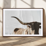35866-MGC-FP-36x24_Walnut-Texas Longhorn Wall Art – Rustic Western Bull Canvas Print, Farmhouse Animal Photography Decor for Living Room, Office, or Ranch