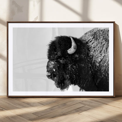 68780-MGC-FP-36x24_Walnut-Bison Close-Up Wall Art – Black and White Buffalo Canvas Print, Rustic Wildlife Photography Decor for Living Room, Office, or