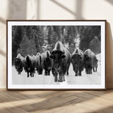 62434-MGC-FP-36x24_Walnut-Bison Herd Wall Art – Majestic Black and White Buffalo Canvas Print, Wildlife Nature Photography Decor for Living Room, Office or