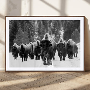 62434-MGC-FP-36x24_Walnut-Bison Herd Wall Art – Majestic Black and White Buffalo Canvas Print, Wildlife Nature Photography Decor for Living Room, Office or