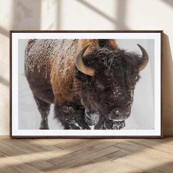 65605-MGV-CV-36X24-Snow Bison Wall Art – Close Up Buffalo Canvas Print, Rustic Western Wildlife Photography, Farmhouse Cabin Lodge Decor for Living