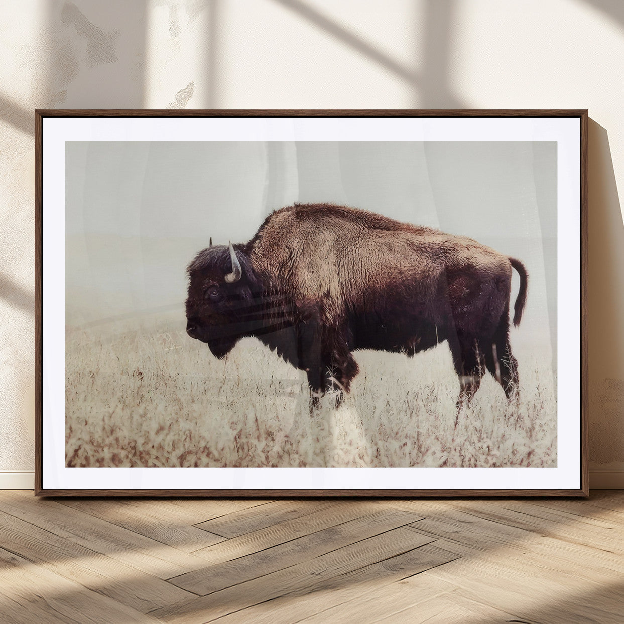 48406-MGC-FP-36x24_Walnut-American Bison Wall Art – Rustic Buffalo Canvas Print in Prairie Field, Western Wildlife Photography Decor for Cabin, Lodge,