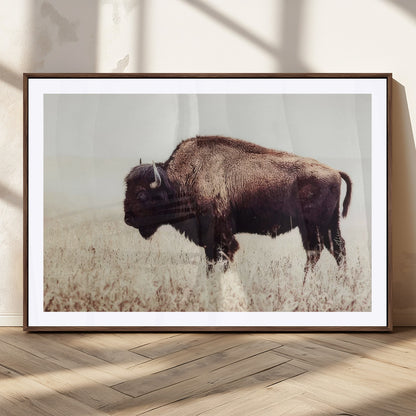 48406-MGC-FP-36x24_Walnut-American Bison Wall Art – Rustic Buffalo Canvas Print in Prairie Field, Western Wildlife Photography Decor for Cabin, Lodge,