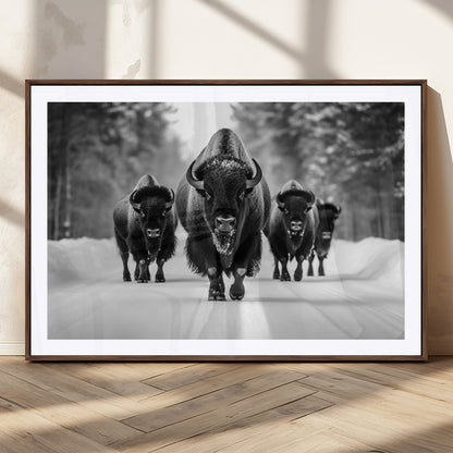 45287-MGC-FP-36x24_Walnut-Bison Herd Wall Art – Black and White Buffalo Snow Road Canvas Print, Rustic Wildlife Decor for Cabin, Lodge or Living Room