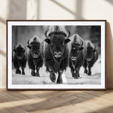 79872-MGC-FP-36x24_Walnut-Bison Herd Wall Art – Black and White Buffalo on Snow Canvas Print, Rustic Wildlife Decor for Lodge, Cabin, or Living Room