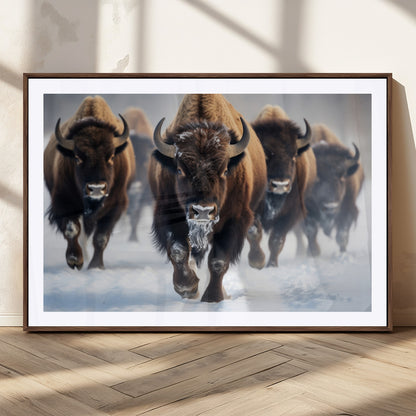 80512-MGV-CV-36X24-Bison Herd Wall Art – Buffalo Running in Snow Canvas Print, Rustic Wildlife Photography Decor for Cabin, Lodge, or Living Room