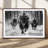 97552-MGV-CV-36X24-Black and White Bison Wall Art – Buffalo Herd Running in Snow Canvas Print, Rustic Wildlife Photography Decor for Cabin, Lodge, or
