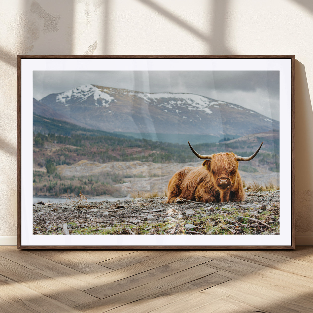 80252-MGC-FP-36x24_Walnut-Scottish Cow Wall Art Canvas Print, Framed Highland Cow Art Picture Print, Highland Cattle Perfect Rustic Farmhouse Decor Artwork