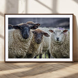 18418-MGC-FP-36x24_Walnut-Sheep Wall Art Canvas Print, Framed Farmhouse Sheep Art Picture Print, Sheep Herd Perfect Rustic Farmhouse Decor Artwork