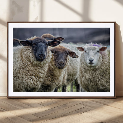 18418-MGC-FP-36x24_Walnut-Sheep Wall Art Canvas Print, Framed Farmhouse Sheep Art Picture Print, Sheep Herd Perfect Rustic Farmhouse Decor Artwork