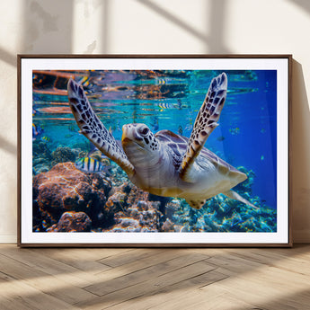 12683-MGC-FP-36x24_Walnut-Sea Turtle Wall Art – Graceful Ocean Canvas Print with Coral Reef and Tropical Fish, Coastal Marine Life Decor for Beach House,