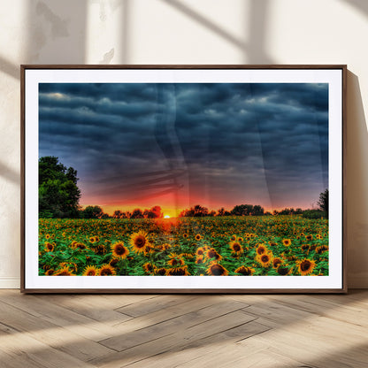 45045-MGC-FP-36x24_Walnut-Sunflower Field Sunset Wall Art – Dramatic Stormy Sky Landscape Print, Vibrant Yellow Floral Nature Canvas for Living Room,
