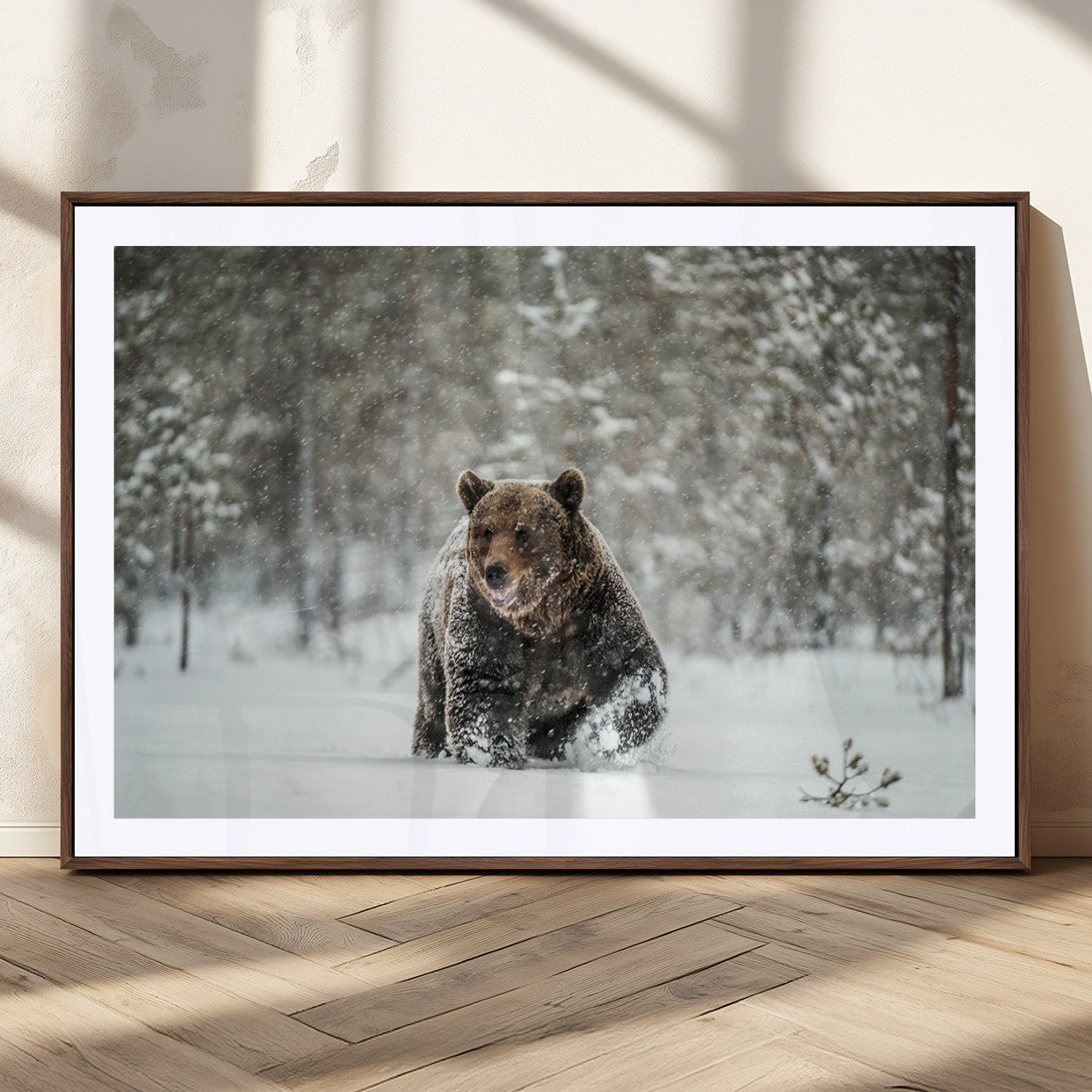 43350-MGC-FP-36x24_Walnut-Wild Bear in Snow Wall Art – Majestic Wildlife Photography Print, Winter Forest Nature Decor for Cabin, Lodge, Rustic Home,