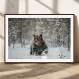 43350-MGC-FP-36x24_Walnut-Wild Bear in Snow Wall Art – Majestic Wildlife Photography Print, Winter Forest Nature Decor for Cabin, Lodge, Rustic Home,