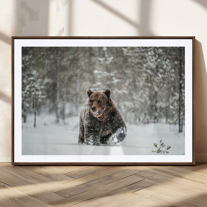 43350-MGC-FP-36x24_Walnut-Wild Bear in Snow Wall Art – Majestic Wildlife Photography Print, Winter Forest Nature Decor for Cabin, Lodge, Rustic Home,