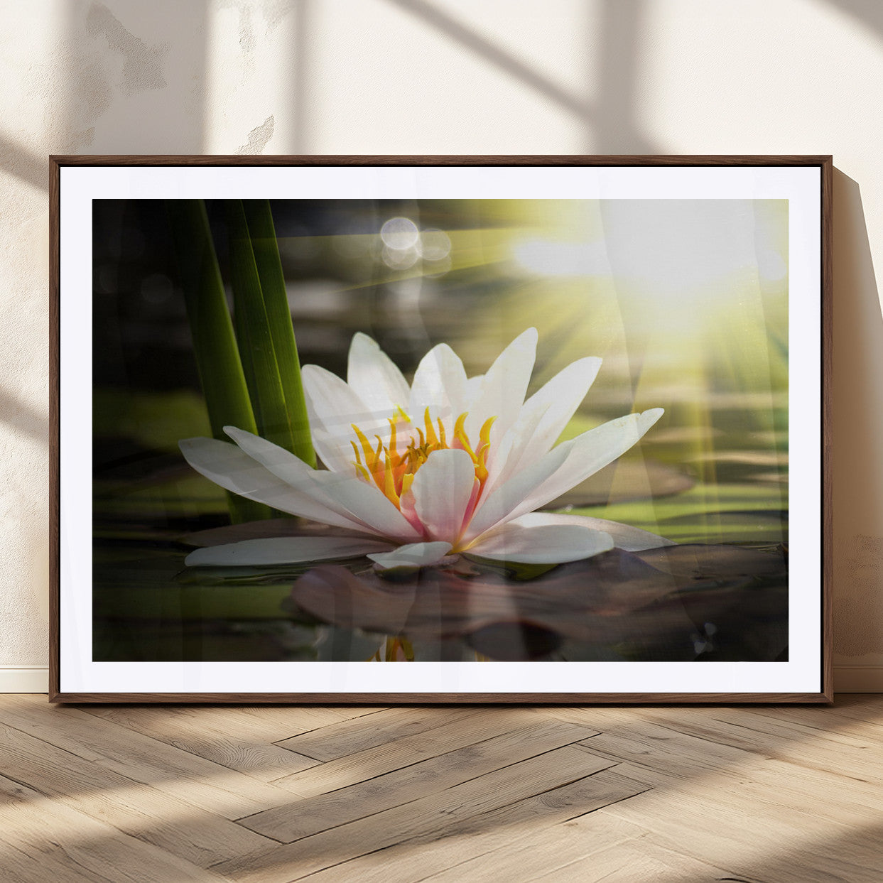 40478-MGC-FP-36x24_Walnut-Water Lily Wall Art – White Lotus Flower Canvas Print with Sunlight Reflection, Serene Botanical Artwork for Living Room, Bedroom,