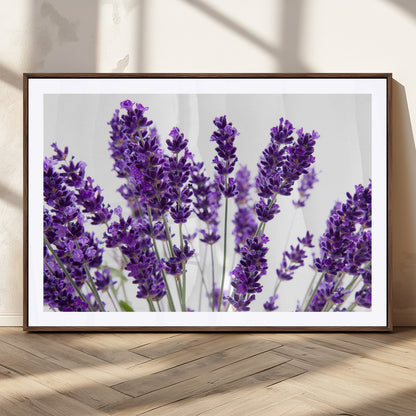 84456-MGC-FP-36x24_Walnut-Lavender Wall Art – Botanical Canvas Print Featuring Purple Floral Stems, Fresh Nature Inspired Artwork for Living Room, Bedroom,