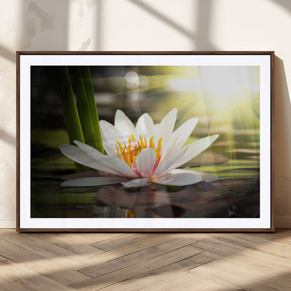 60352-MGC-FP-36x24_Walnut-White Water Lily Wall Art – Lotus Flower Canvas Print with Sunlight Reflection, Peaceful Botanical Artwork for Living Room,