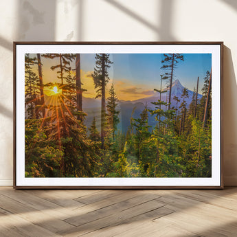 83544043-MGC-FP-36x24_Walnut-Forest Sunset Wall Art Canvas Print, Framed Sunset Trees Art Picture Print, Green Pines Perfect Rustic Nature Decor Artwork