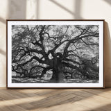 81655611-MGC-FP-36x24_Walnut-Ancient Oak Wall Art Canvas Print, Framed Twisted Branches Art Picture Print, Gnarled Tree Perfect Moody Nature Decor Artwork