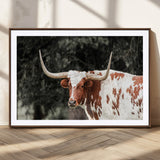 54027638-MGC-FP-36x24_Walnut-Texas Longhorn Wall Art Canvas Print, Framed Spotted Cow Art Picture Print, Horned Bull Perfect Rustic Western Decor Artwork
