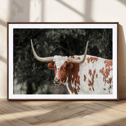 54027638-MGC-FP-36x24_Walnut-Texas Longhorn Wall Art Canvas Print, Framed Spotted Cow Art Picture Print, Horned Bull Perfect Rustic Western Decor Artwork
