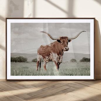 28309012-MGC-FP-36x24_Walnut-Texas Longhorn Wall Art Canvas Print, Framed Spotted Cattle Art Picture Print, Horned Bull Perfect Rustic Western Decor Artwork