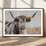 70414966-MGC-FP-36x24_Walnut-Texas Longhorn Wall Art Canvas Print, Framed Speckled Cow Art Picture Print, Horned Bull Perfect Rustic Western Decor Artwork
