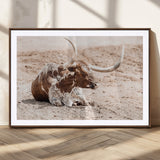 25407592-MGC-FP-36x24_Walnut-Texas Longhorn Wall Art Canvas Print, Framed Resting Bull Art Picture Print, Spotted Cattle Perfect Rustic Western Decor Artwork