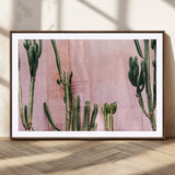 93119502-MGC-FP-36x24_Walnut-Tall Cactus Wall Art Canvas Print, Framed Pink Wall Art Picture Print, Cactus Lines Perfect Modern Desert Decor Artwork