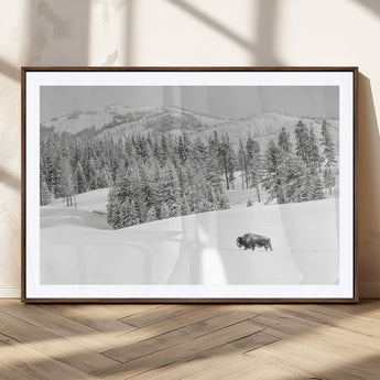68081143-MGC-FP-36x24_Walnut-Snowy Bison Wall Art Canvas Print, Framed Winter Forest Art Picture Print, Lone Bison Perfect Monochrome Winter Wild Decor Artwork