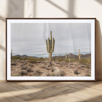 96147924-MGC-FP-36x24_Walnut-Saguaro Cactus Wall Art Canvas Print, Framed Desert Cactus Art Picture Print, Earthy Desert Perfect Southwestern Boho Decor