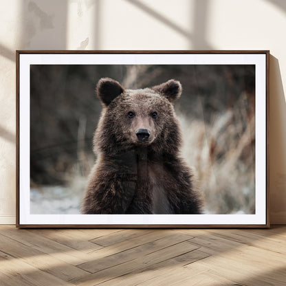 47112103-MGC-FP-36x24_Walnut-Brown Bear Wall Art Canvas Print, Framed Forest Wildlife Art Picture Print, Woodland Bear Perfect Rustic Cabin Decor Artwork