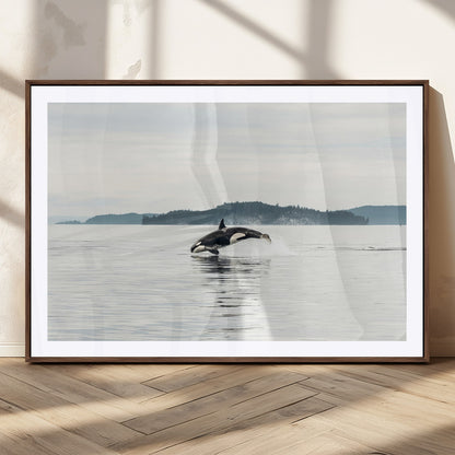 10157174-MGC-FP-36x24_Walnut-Orca Whale Wall Art Canvas Print, Framed Black White Whale Art Picture Print, Minimalist Ocean Perfect Coastal Minimalist Decor