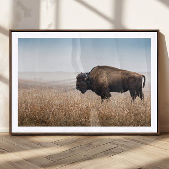 99620201-MGC-FP-36x24_Walnut-Wild Bison Wall Art Canvas Print, Framed Bison in Prairie Art Picture Print, Rustic Western Perfect Rustic Western Decor Artwork