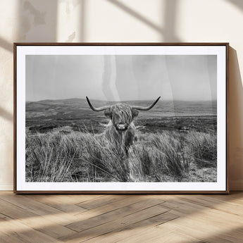 24051061-MGC-FP-36x24_Walnut-Monochrome Highland Cow Wall Art Canvas Print, Framed Scottish Bull Art Picture Print, Lone Cattle Perfect Rustic Farmhouse Decor