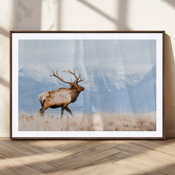 96024025-MGC-FP-36x24_Walnut-Elk Photography Wall Art Canvas Print, Framed Mountain Wildlife Art Picture Print, Rustic Lodge Decor Perfect Rustic Lodge Decor