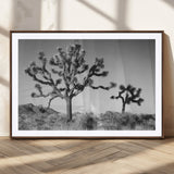 50975475-MGC-FP-36x24_Walnut-Joshua Tree Art Wall Art Canvas Print, Framed Desert Tree Print Art Picture Print, Black White Nature Perfect Southwestern Boho