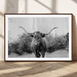97280319-MGC-FP-36x24_Walnut-Longhorn Photography Wall Art Canvas Print, Framed Western Cow Decor Art Picture Print, Texas Ranch Style Perfect Rustic Farmhouse